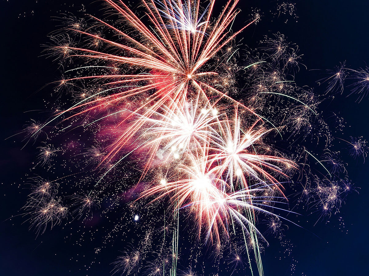 fireworks exploding in a dark sky