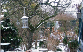 a back deck garden covered in snow