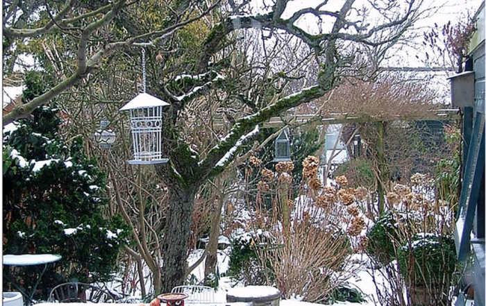 a back deck garden covered in snow