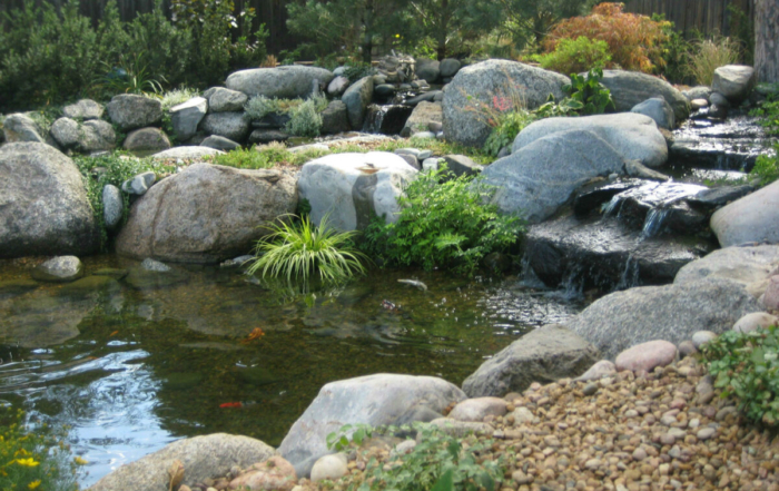 a man built waterfall and pond in the backyard