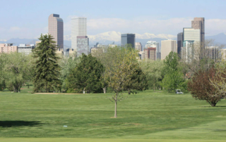 a partial view of the Denver skyline