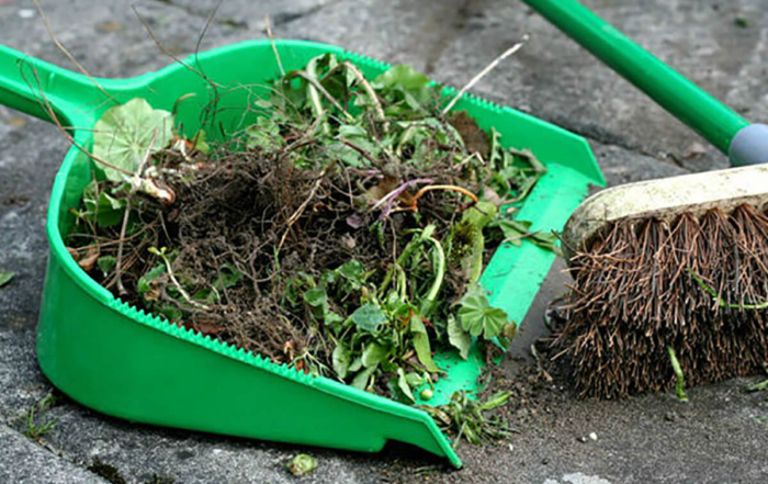 weeds being swept into a dustpan