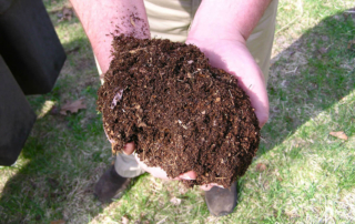 2 hands full of composting dirt