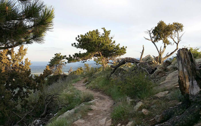 hiking a trail that open up yards in front of you