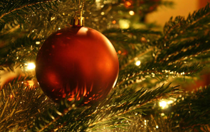 ornaments hung on a tree for the holidays