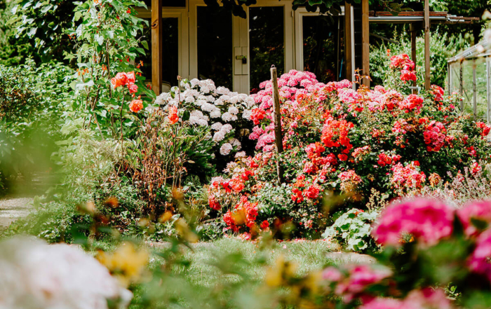 luxurious flowering gardens