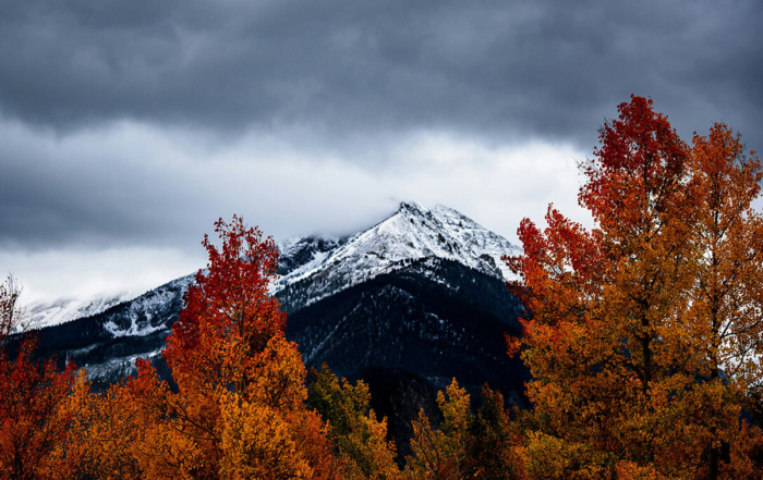 a snowy peak behind red leaves on the trees