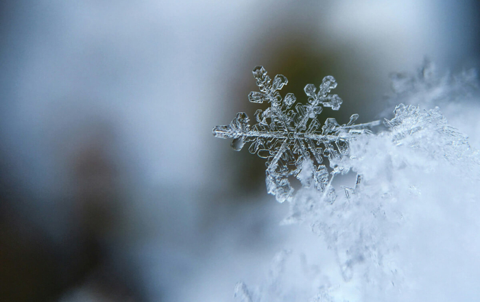 a close-up of a snow cryastal