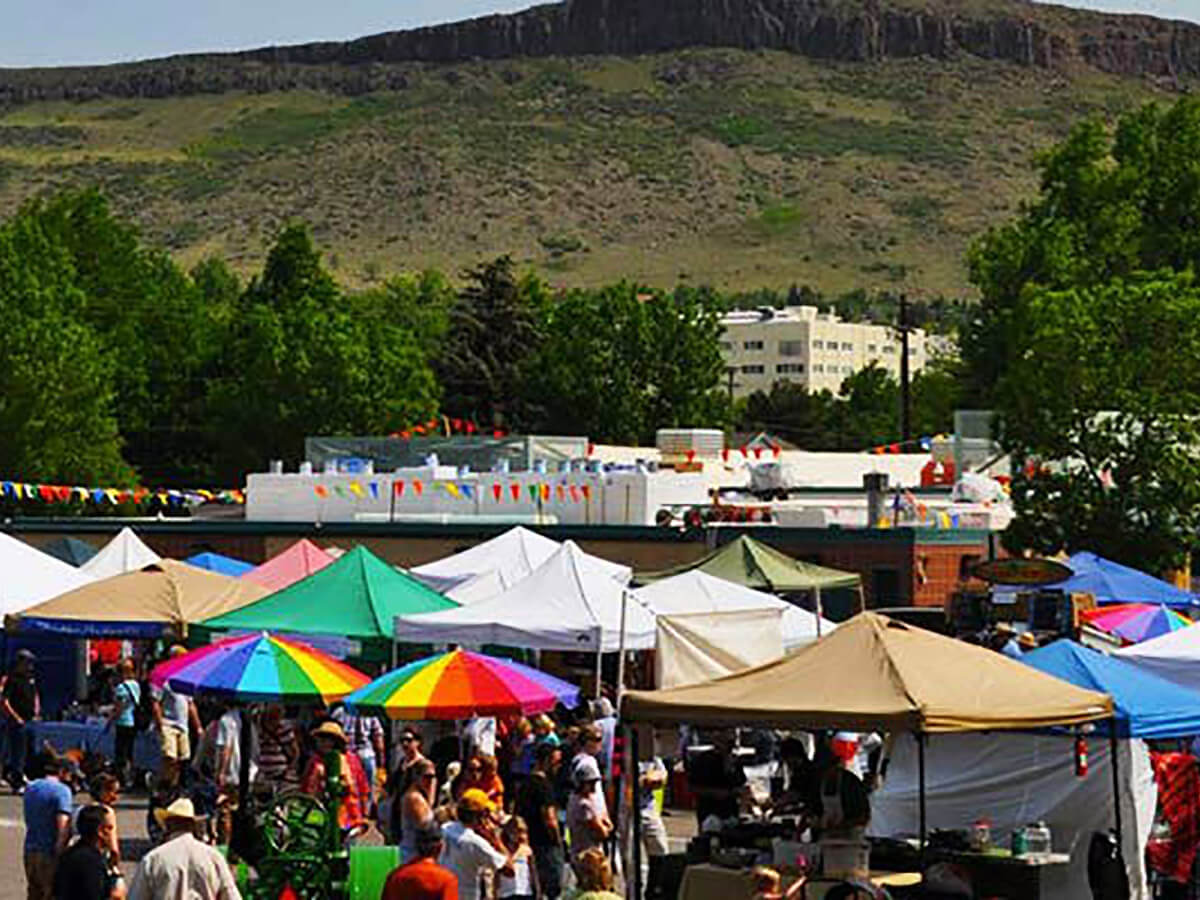 an overview of the local farmer's market