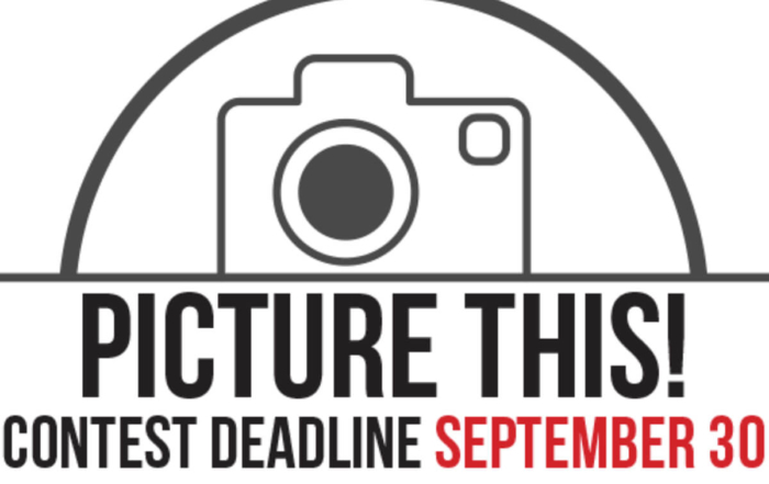 a picture this contest logo