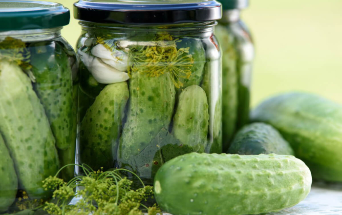 cucumbers being pickled in jars