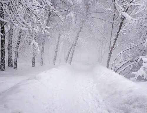 News Flash:  Farmers say Winter will be Cold