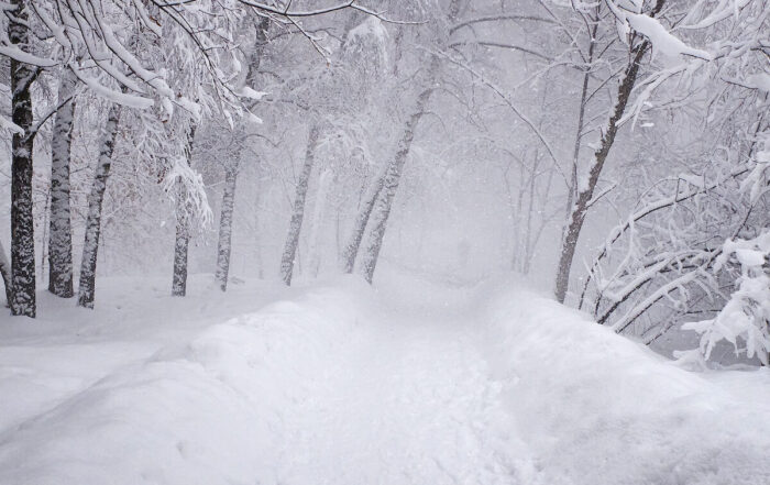 snowy road