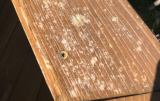 hail damage on a deck
