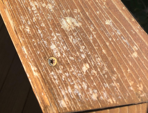 What to do About Hail Damage to Your Deck