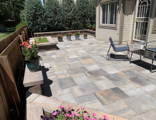 Striking Stone Patio in Centennial, Colorado