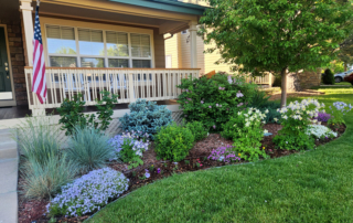 beautiful landscaping in front of wood deck