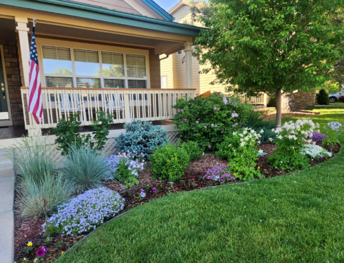 Does Your Yard Need a Makeover? Here Are 4 Signs It’s Time to Call the Pros