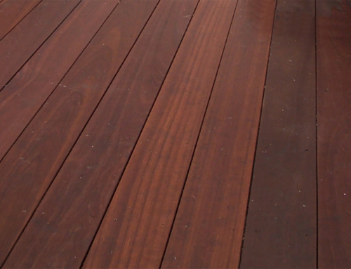 Protect Your Deck’s Beauty from Day One